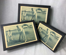 Load image into Gallery viewer, Document Box - Cricket
