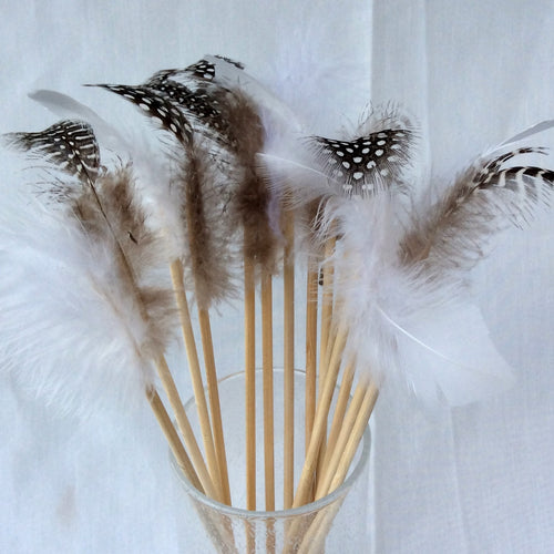 Feather Sticks 5 Set