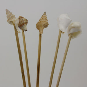 Shell Sticks 5 Set