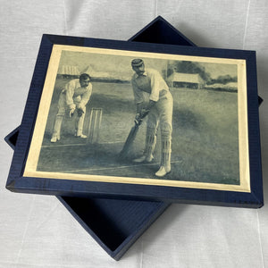 Document Box - Cricket